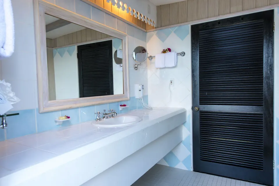 Standard Cottage Garden View bathroom vanity and mirror at Cocobay Resort.