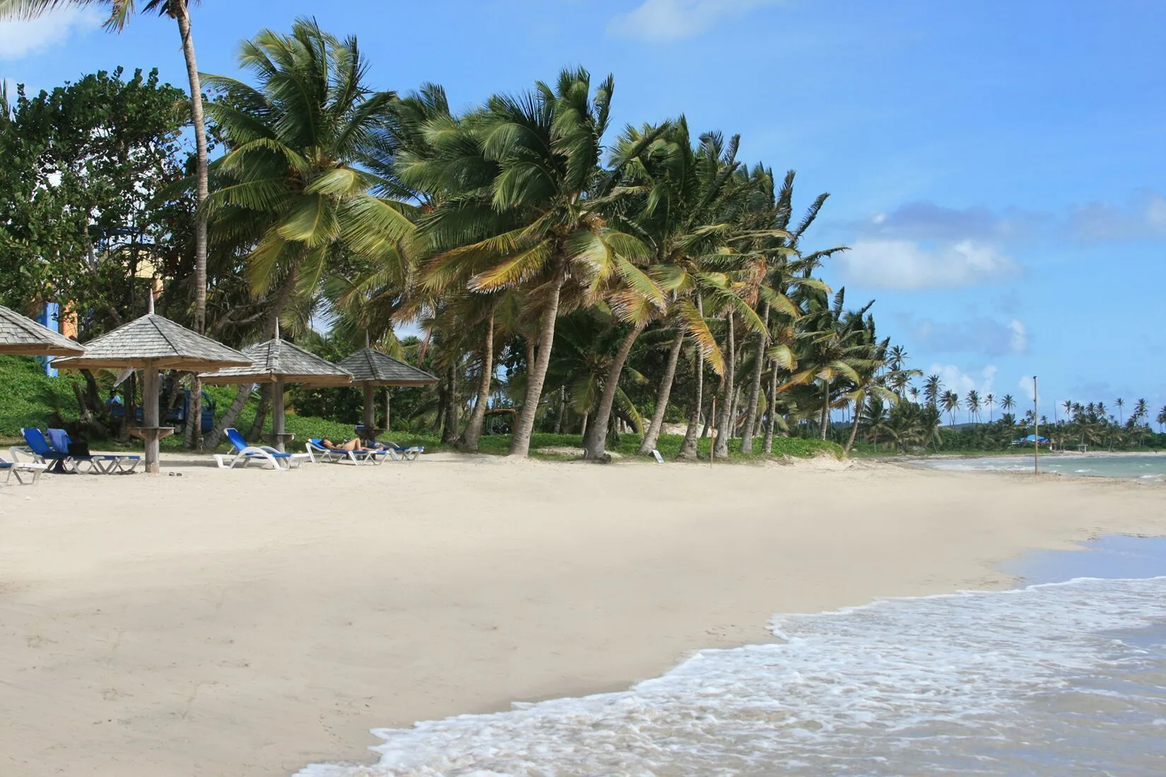 Palm-lined beach with loungers and thatched shade at Coconut Bay Beach Resort & Spa.