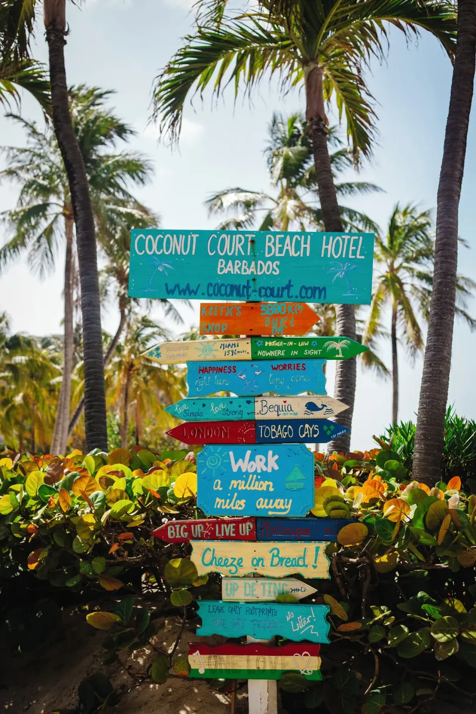 Colorful Coconut Court Beach Hotel signpost among palms and beachside greenery.