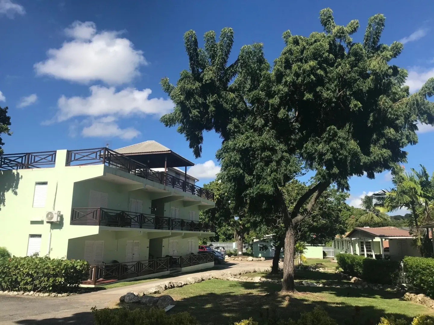 Guest building and large shade tree on the grounds of Coconut Court Beach Hotel.
