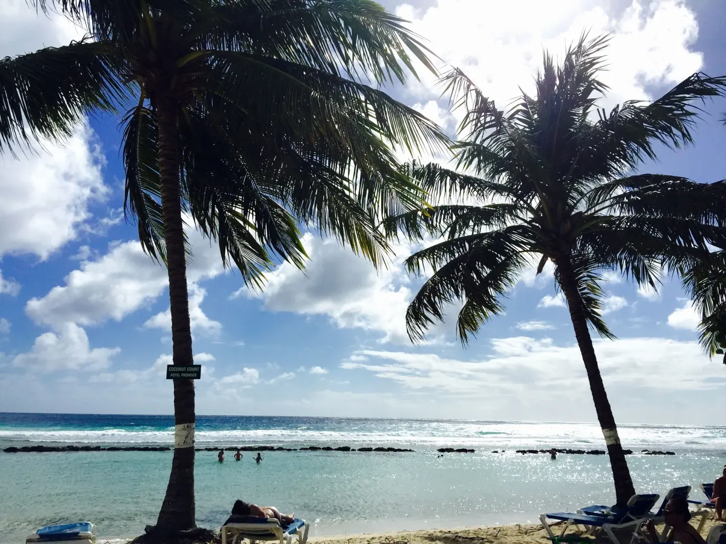 Palm trees, loungers, and swimmers along the beach at Coconut Court Beach Hotel.