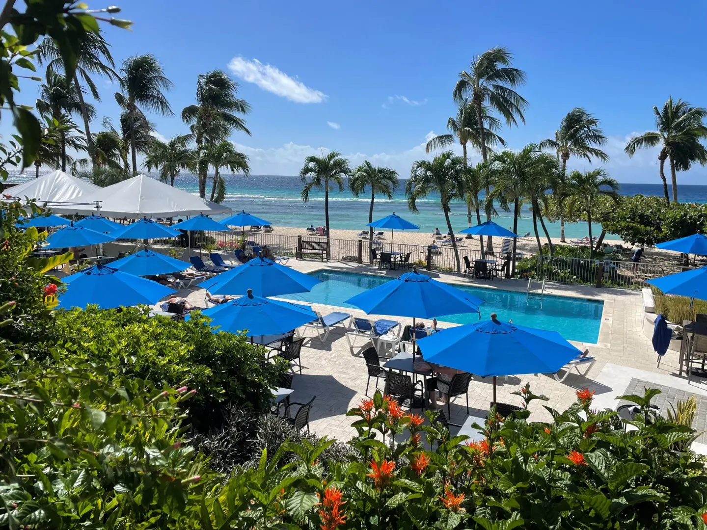 Elevated view of pool, blue umbrellas, palms, and beach at Coconut Court Beach Hotel.