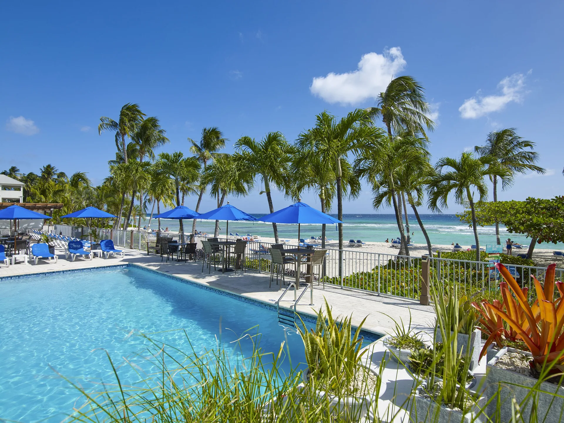 Pool terrace with blue umbrellas, palms, and beach beyond at Coconut Court Beach Hotel.
