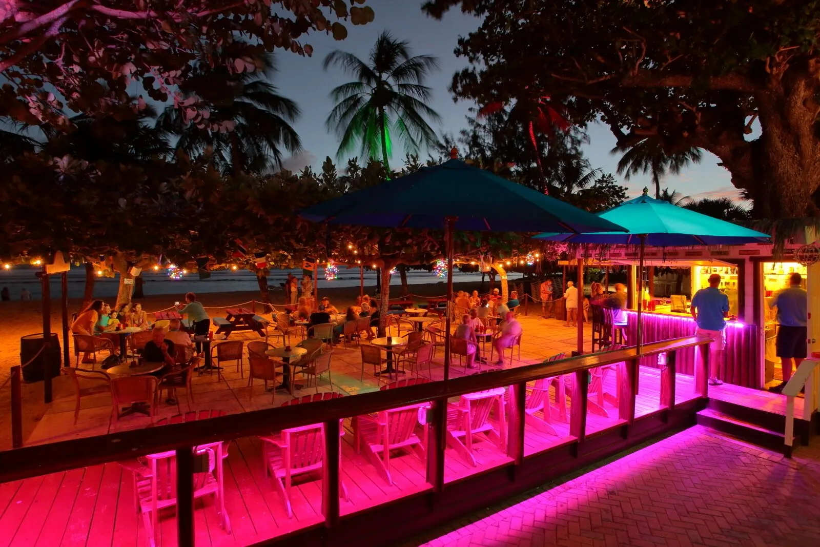 Evening beach bar patio with colorful lights at Coconut Court Beach Hotel.