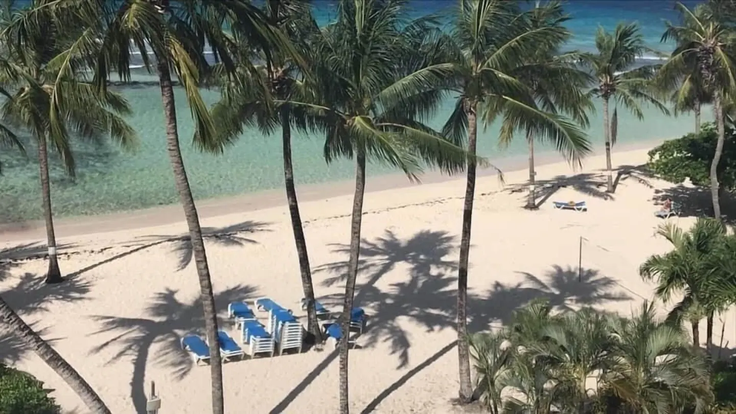 Beach and palm trees seen from a Deluxe Ocean Front Room at Coconut Court Beach Hotel.