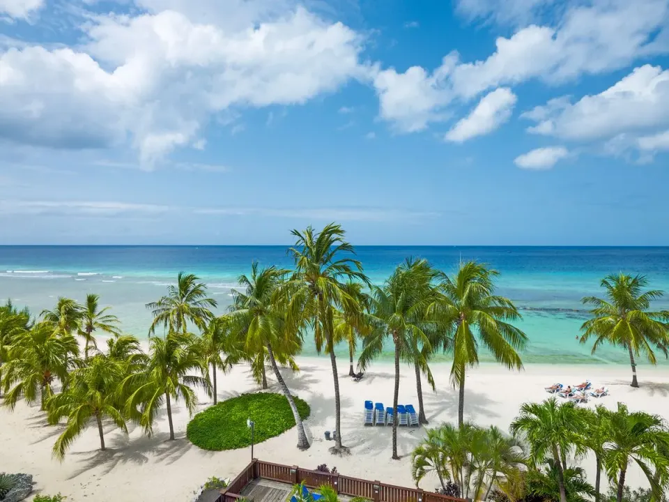 Oceanfront beach view with palms from Coconut Court Beach Hotel.