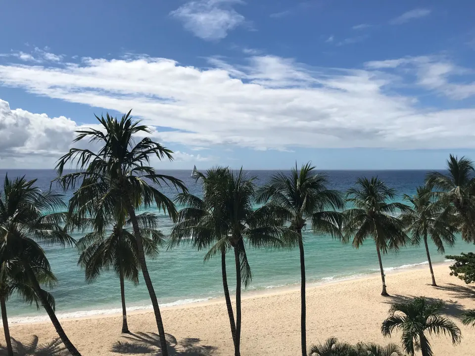 Oceanfront view of palm trees and beach at Coconut Court Beach Hotel.