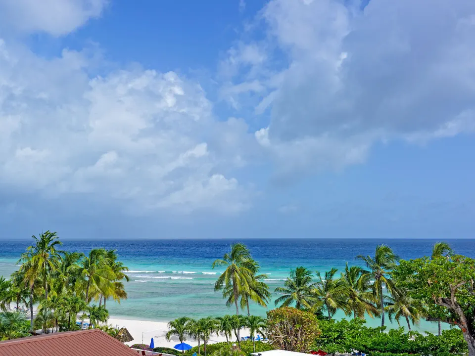 Ocean and palm view from a Partial Ocean View room at Coconut Court Beach Hotel.