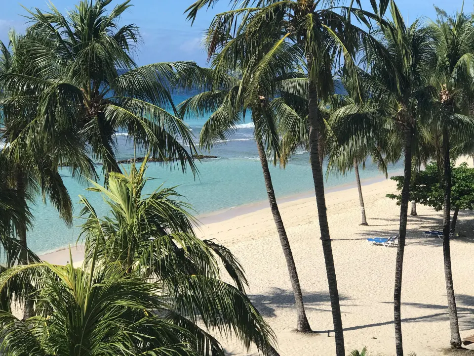 Oceanfront beach view through palm trees at Coconut Court Beach Hotel.