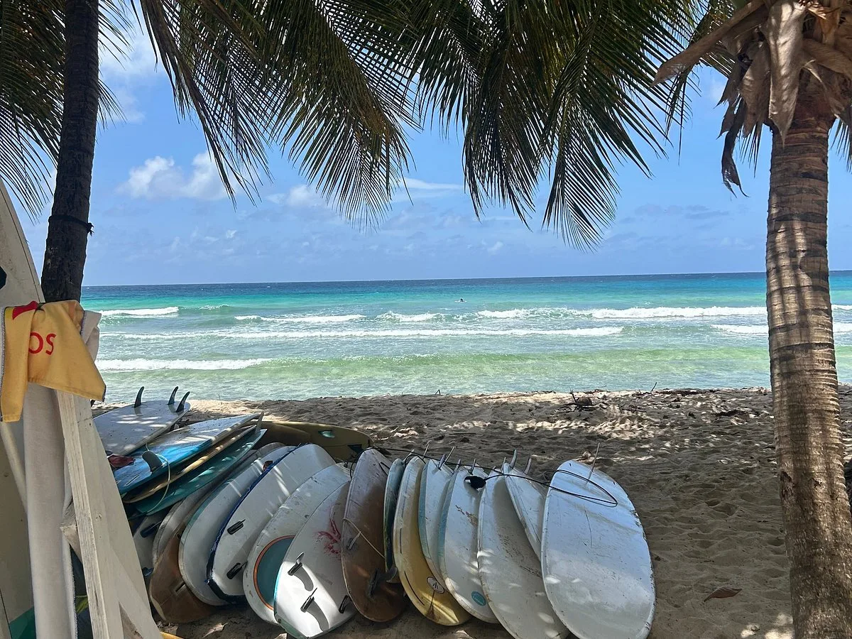 Surf In Barbados Surf School 15 Min Walk