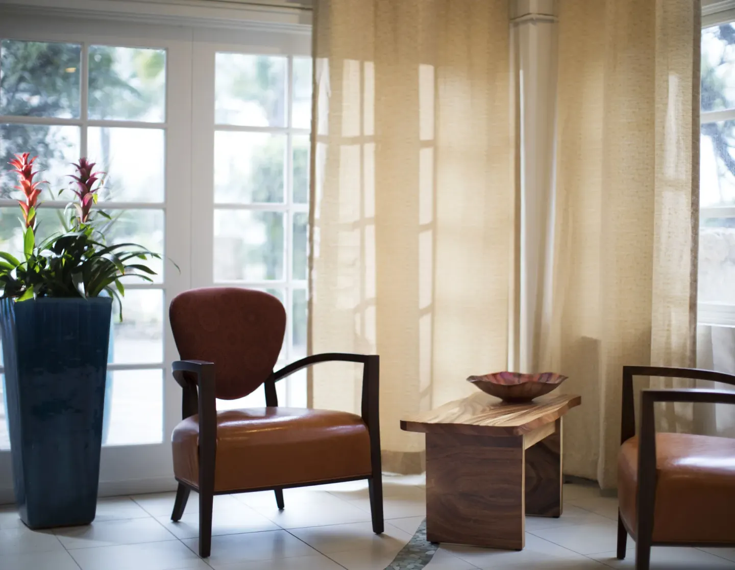 Quiet seating corner with chairs and a tall plant at Coconut Waikiki Hotel.
