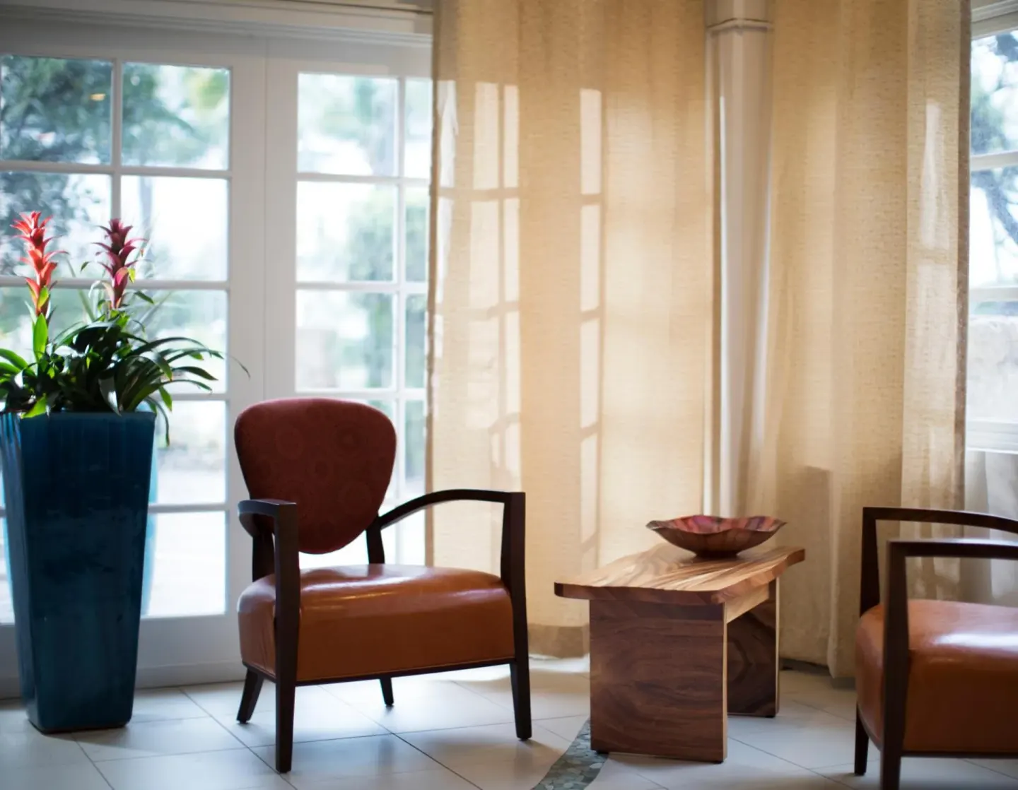Sunlit lobby corner with chairs, plant, and side table at Coconut Waikiki Hotel.
