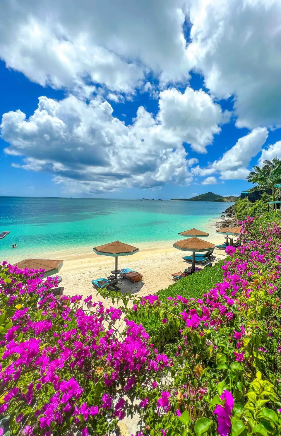 Beach umbrellas, bright flowers, and turquoise sea at COCOS Hotel.