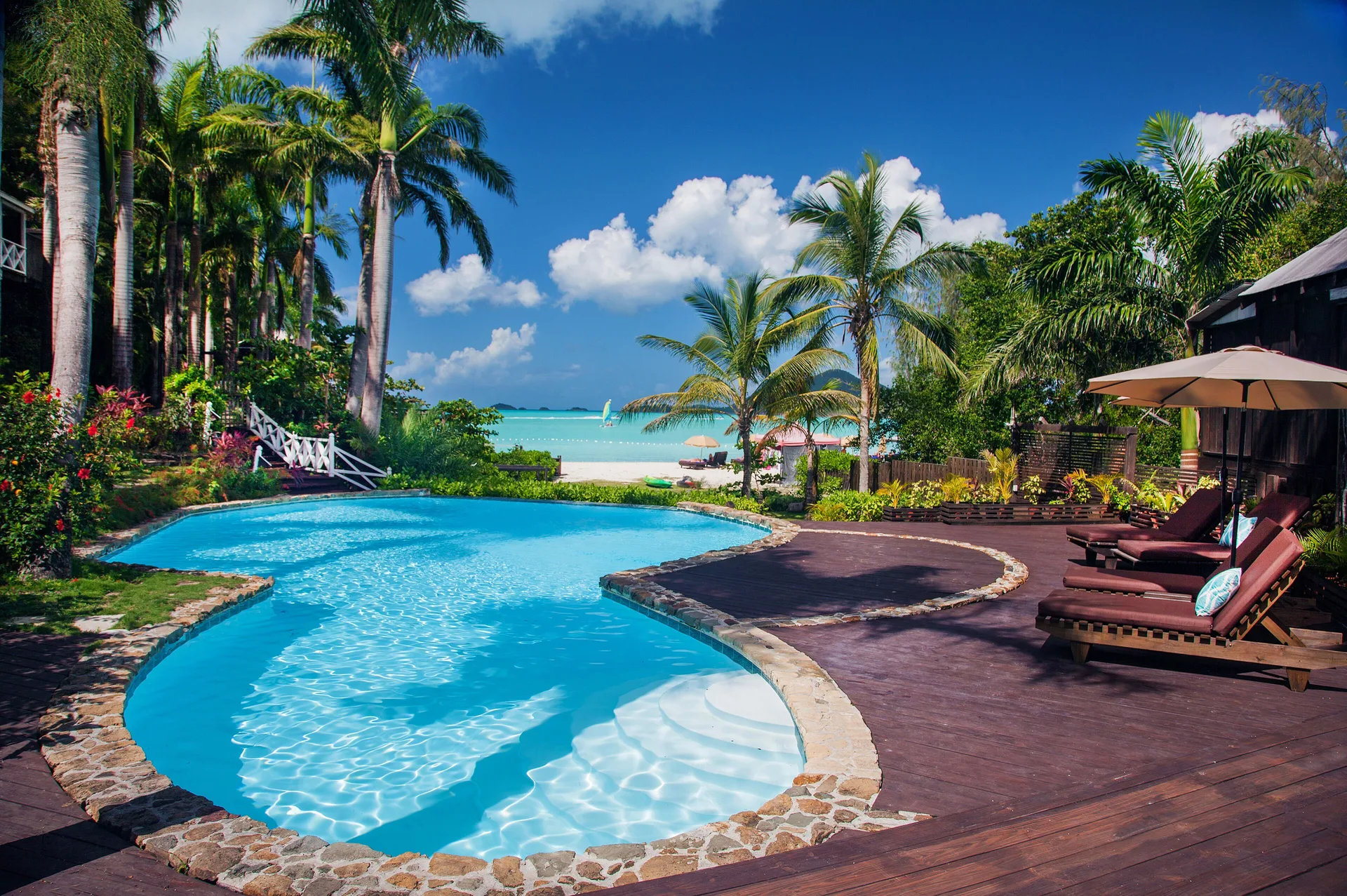 Curved swimming pool beside loungers, palms, and beach at COCOS Hotel.