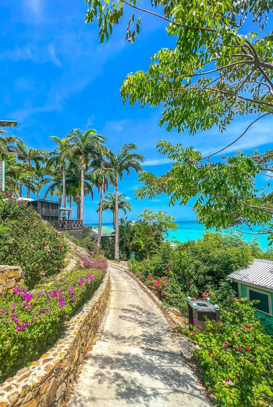 Garden path with palms, flowers, and sea glimpses at COCOS Hotel.