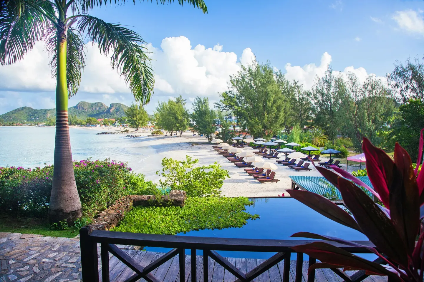 Infinity pool overlooking the beach and palm trees at COCOS Hotel.