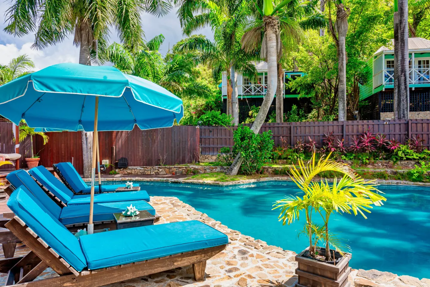 Poolside loungers with blue cushions and umbrellas beside palms at COCOS Hotel.