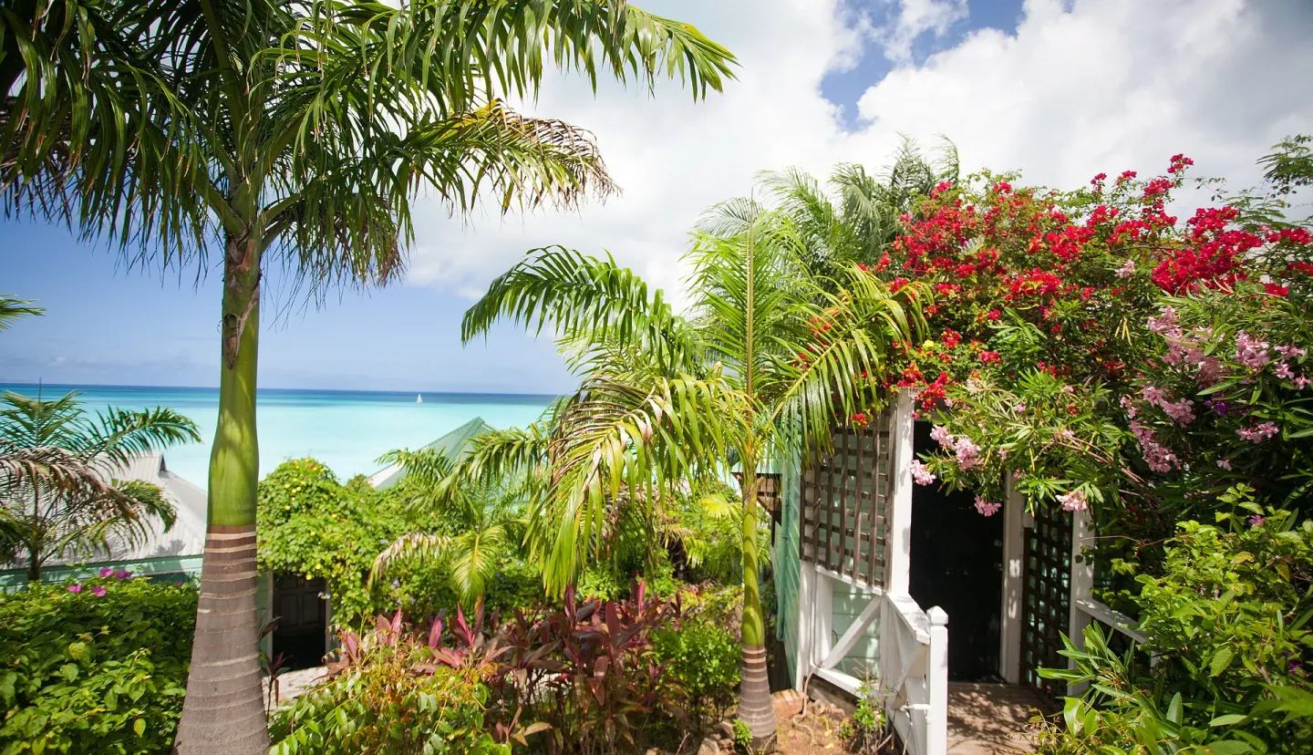 Tropical garden path with palms and flowering shrubs at COCOS Hotel.