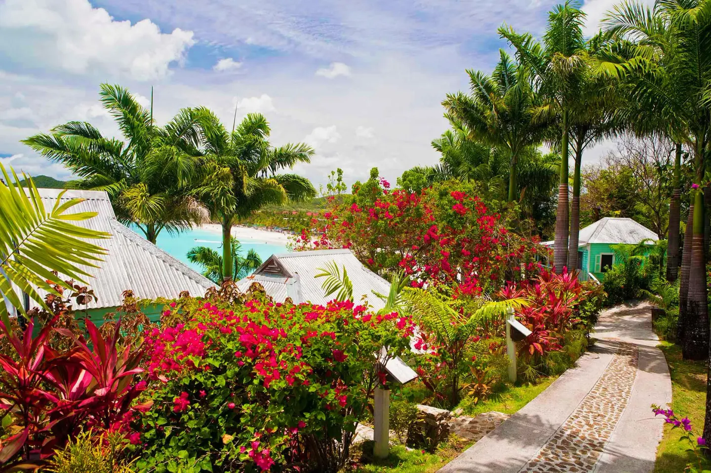 Garden path with palms, flowers, and cottages at COCOS Hotel.