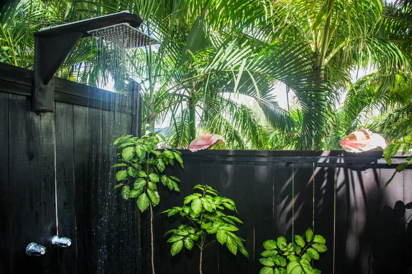 Outdoor shower with black wood walls and tropical plants at COCOS Hotel.