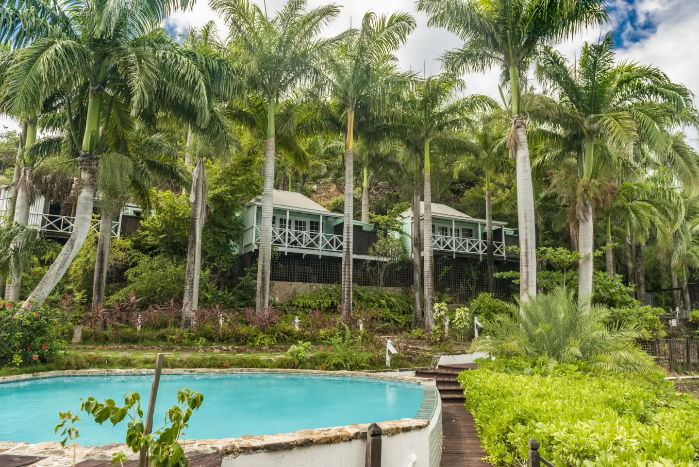 Standard Cottages on a palm-covered hillside above the pool at COCOS Hotel.