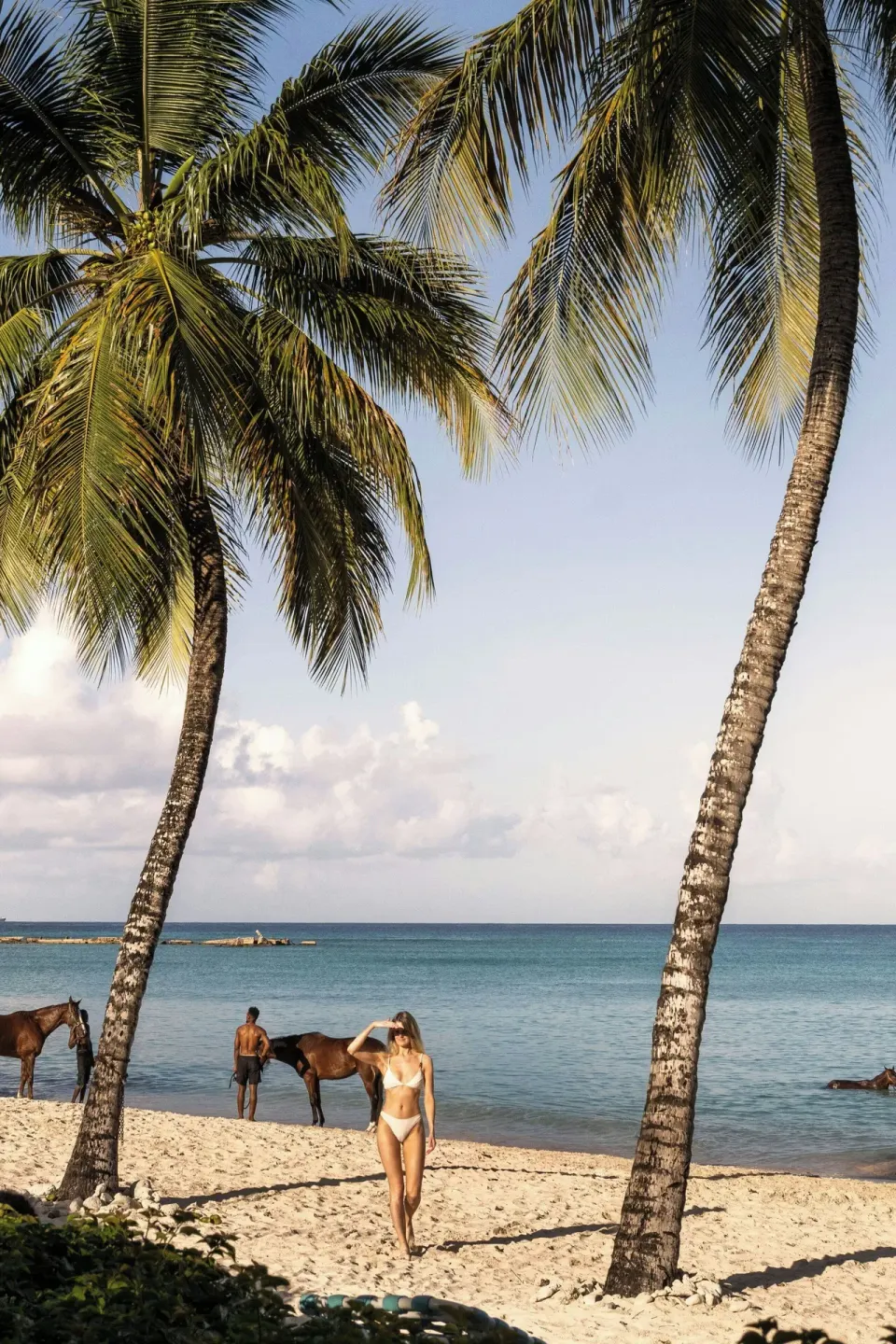 Palm-framed beach with calm sea, horses and a guest at Colony Club, Barbados.