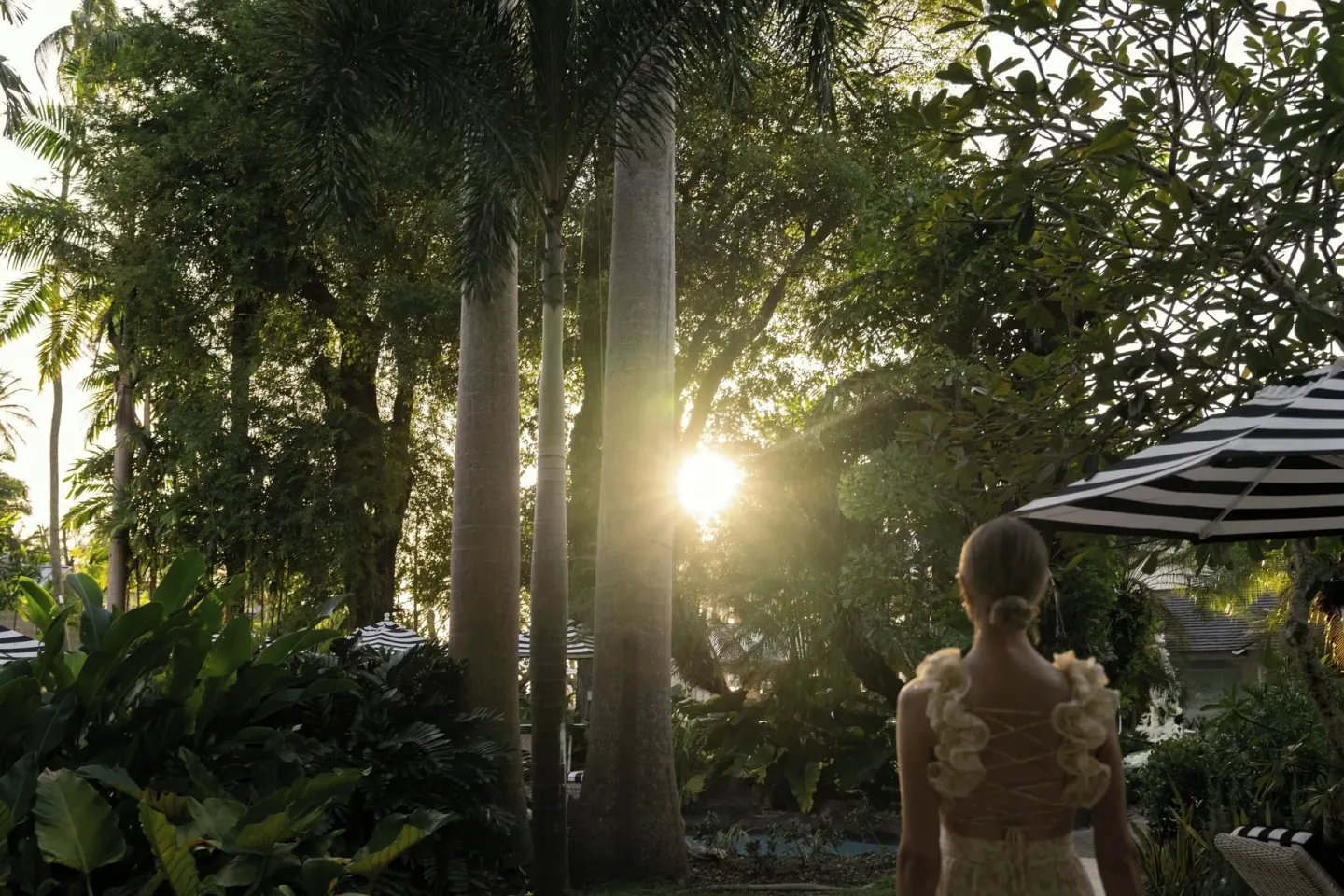 Sunlit tropical garden path with palms and a guest at Colony Club, Barbados.