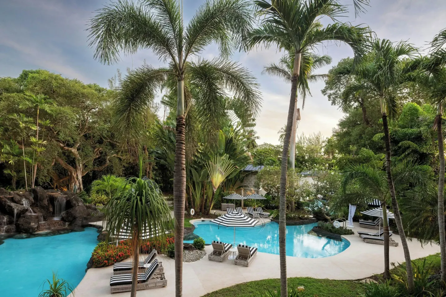 Garden and pool view with palms from a Junior Suite at Colony Club, Barbados.