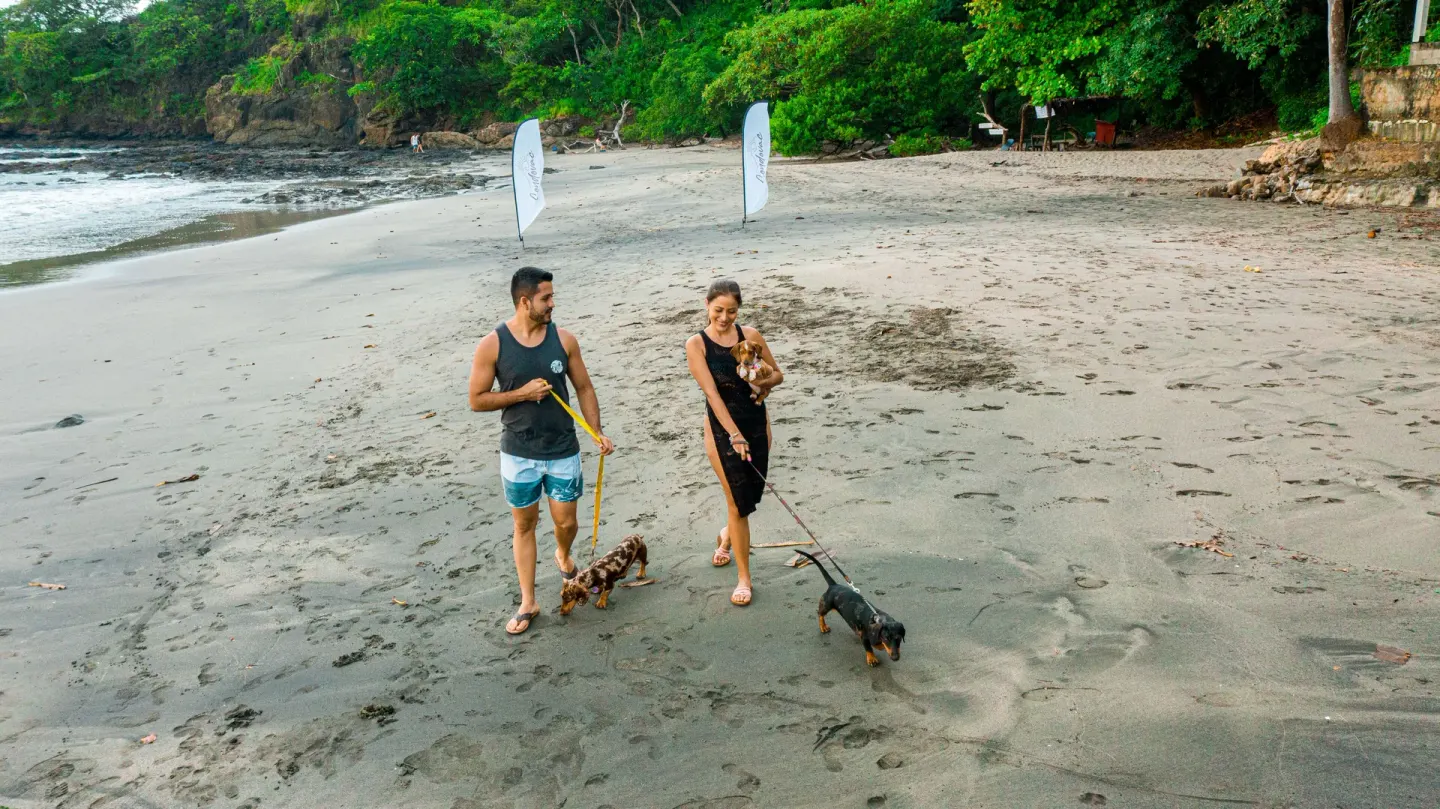 Guests walk dogs along the sandy beach by Condovac la Costa.