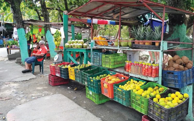 Ericka S Fruit Stand 5 Min Drive