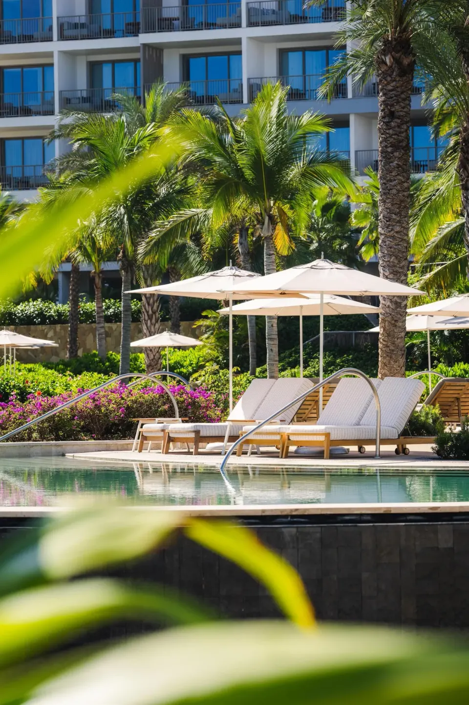 Pool loungers, umbrellas, palms and guest balconies at Conrad Punta de Mita.