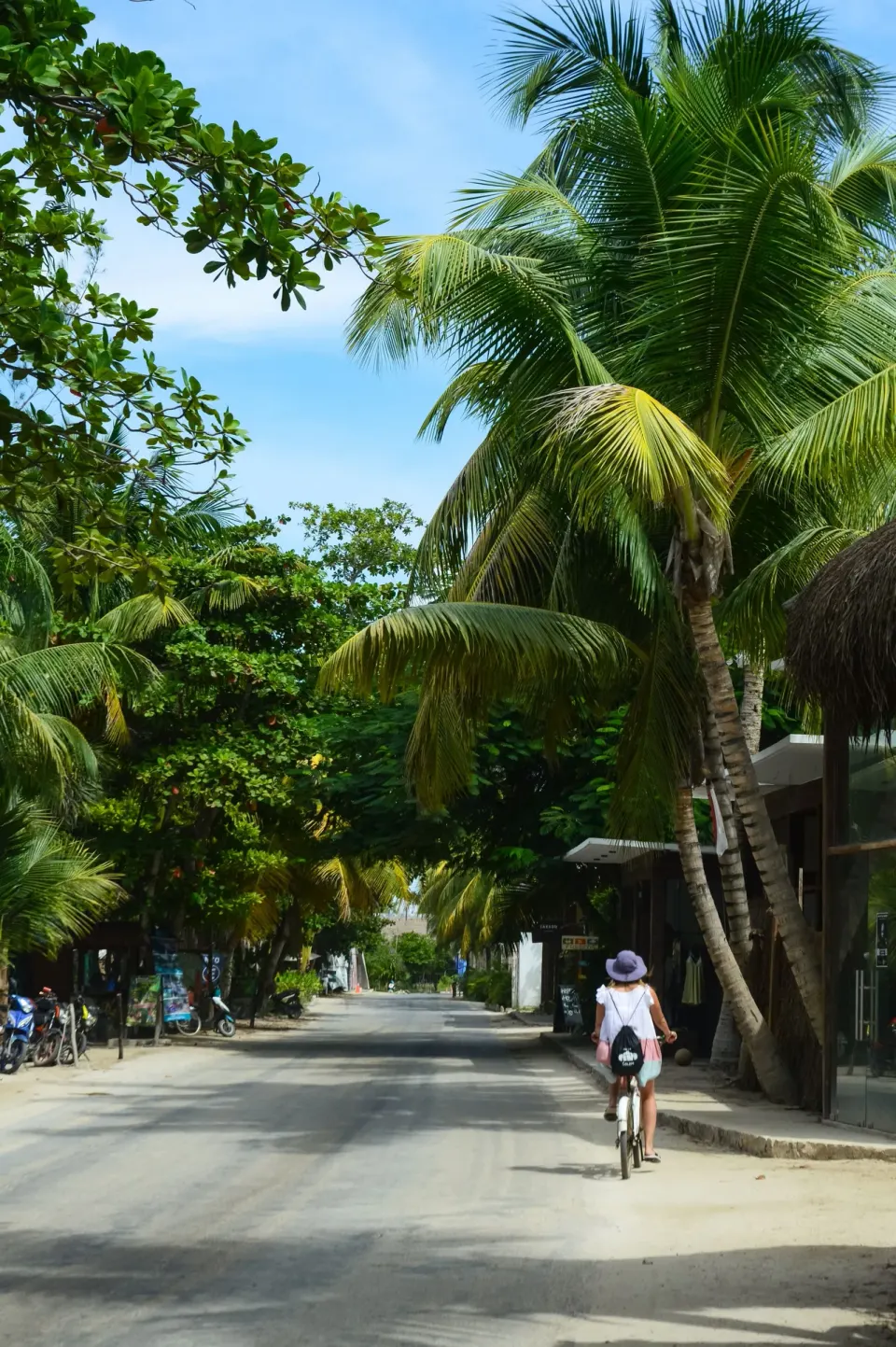 Palm-lined road with a cyclist near Conrad Tulum Riviera Maya.
