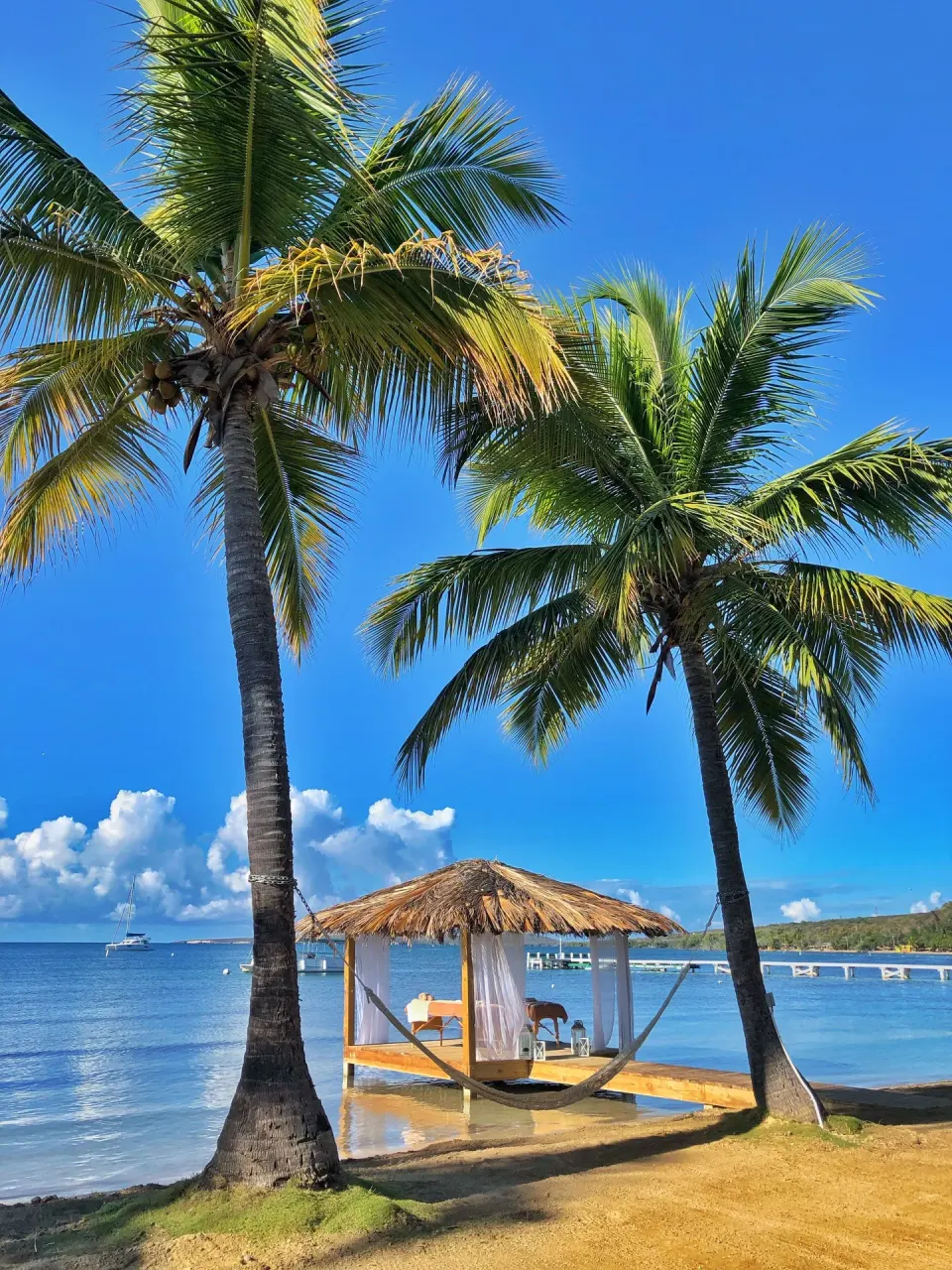 Palm trees and a thatched beach hammock by the water at Copamarina Beach Resort & Spa.