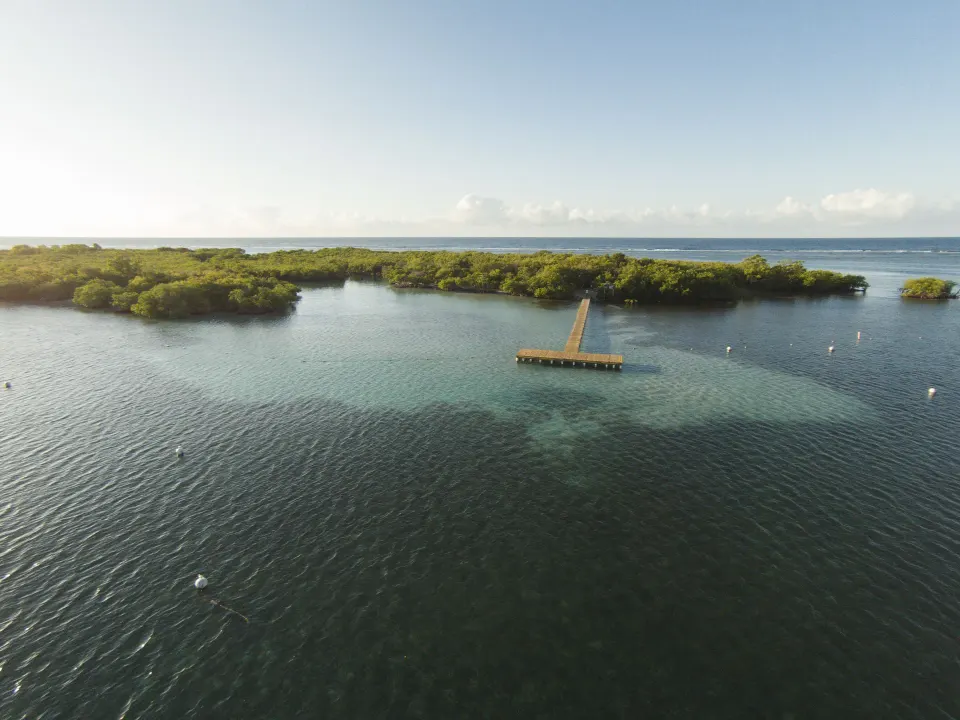 Aerial view of calm water, mangroves, and a dock near Copamarina Beach Resort & Spa.
