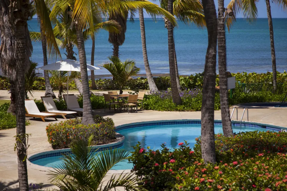 Pool beside palms and the ocean at Copamarina Beach Resort & Spa.