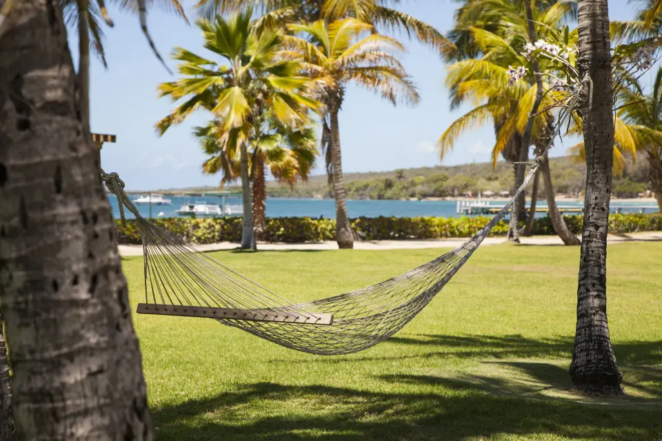 Hammock strung between palm trees on the lawn at Copamarina Beach Resort & Spa.