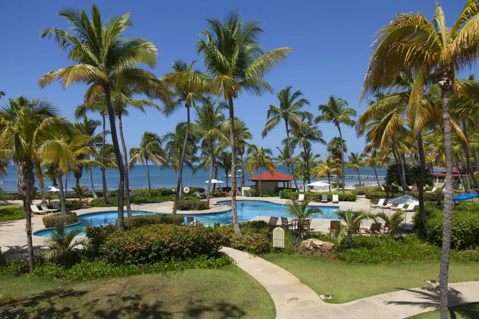 Palm-lined pool area near the beach at Copamarina Beach Resort & Spa.