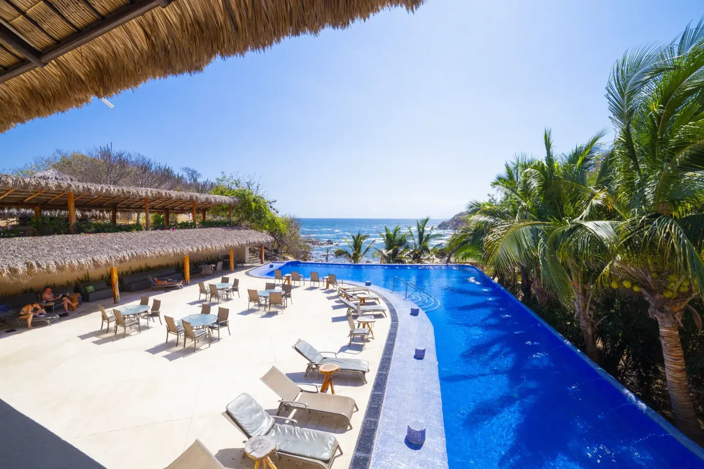 Infinity-style pool with loungers, palms, and ocean beyond at Coral Blue Huatulco.
