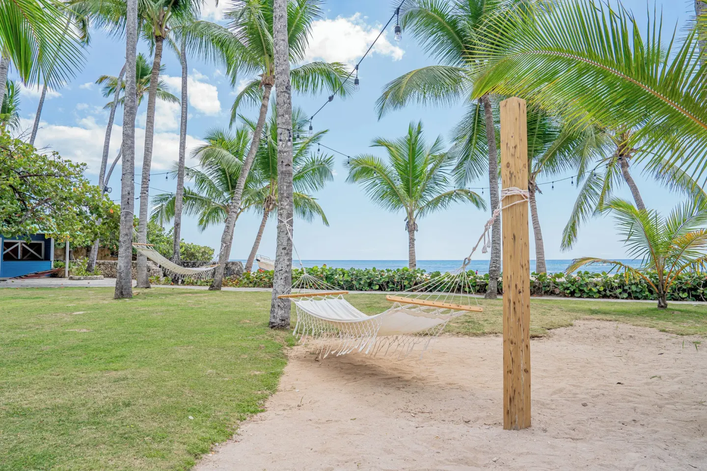 Beachfront hammock area with palms and ocean at Coral Costa Caribe Beach Resort.