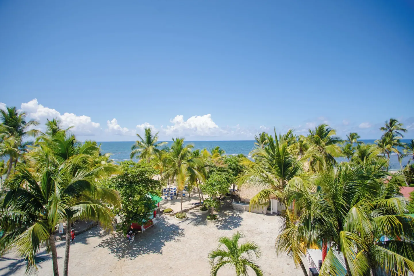 Superior Room ocean view over palms at Coral Costa Caribe Beach Resort.