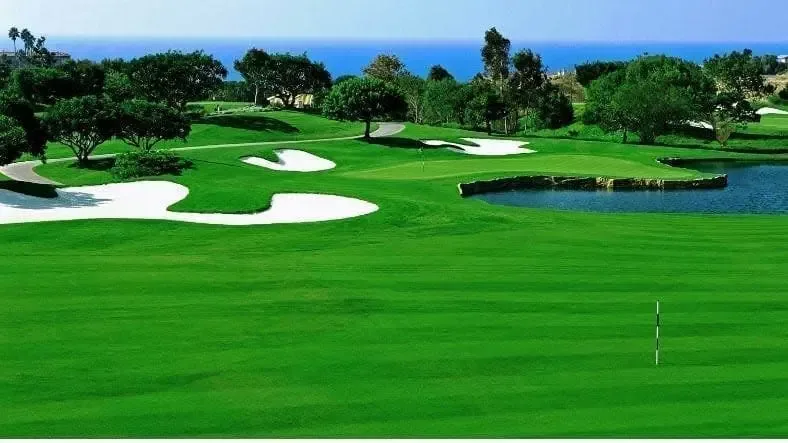Los Marlins Golf Course 15 Min Walk