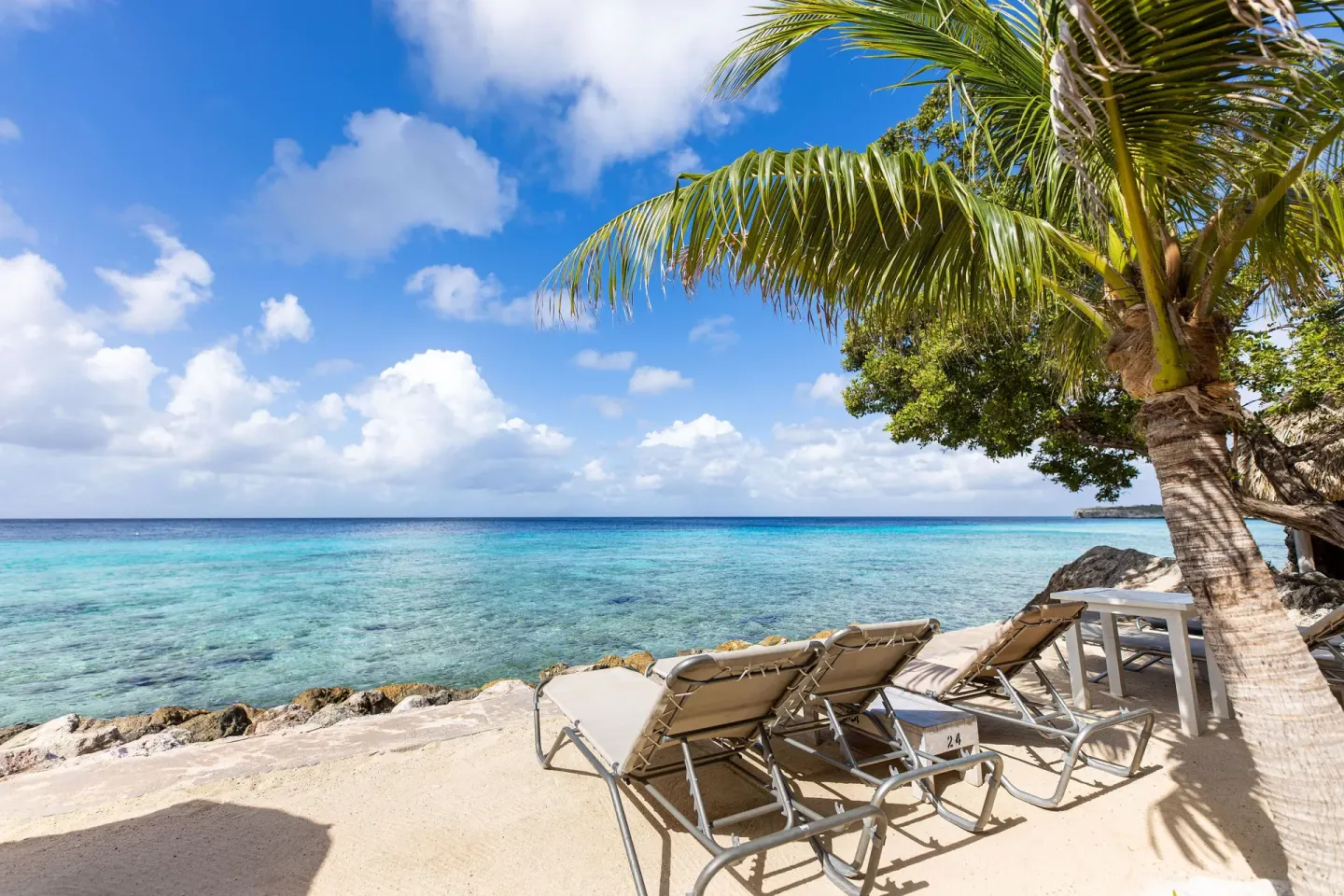 Beach loungers under a palm tree at Coral Estate Luxury Resort facing clear turquoise water.