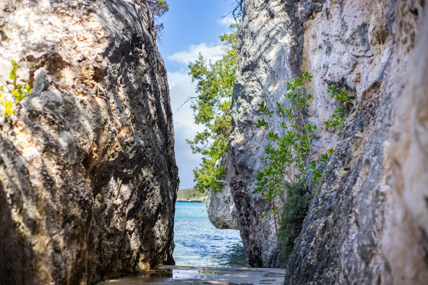 Limestone rock passage at Coral Estate Luxury Resort opening toward the sea.