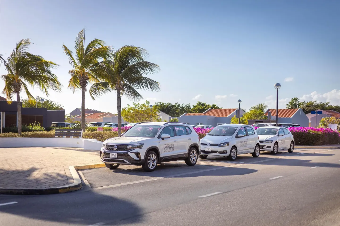 Coral Estate Luxury Resort branded cars lined up near palms at Coral Estate Luxury Resort.