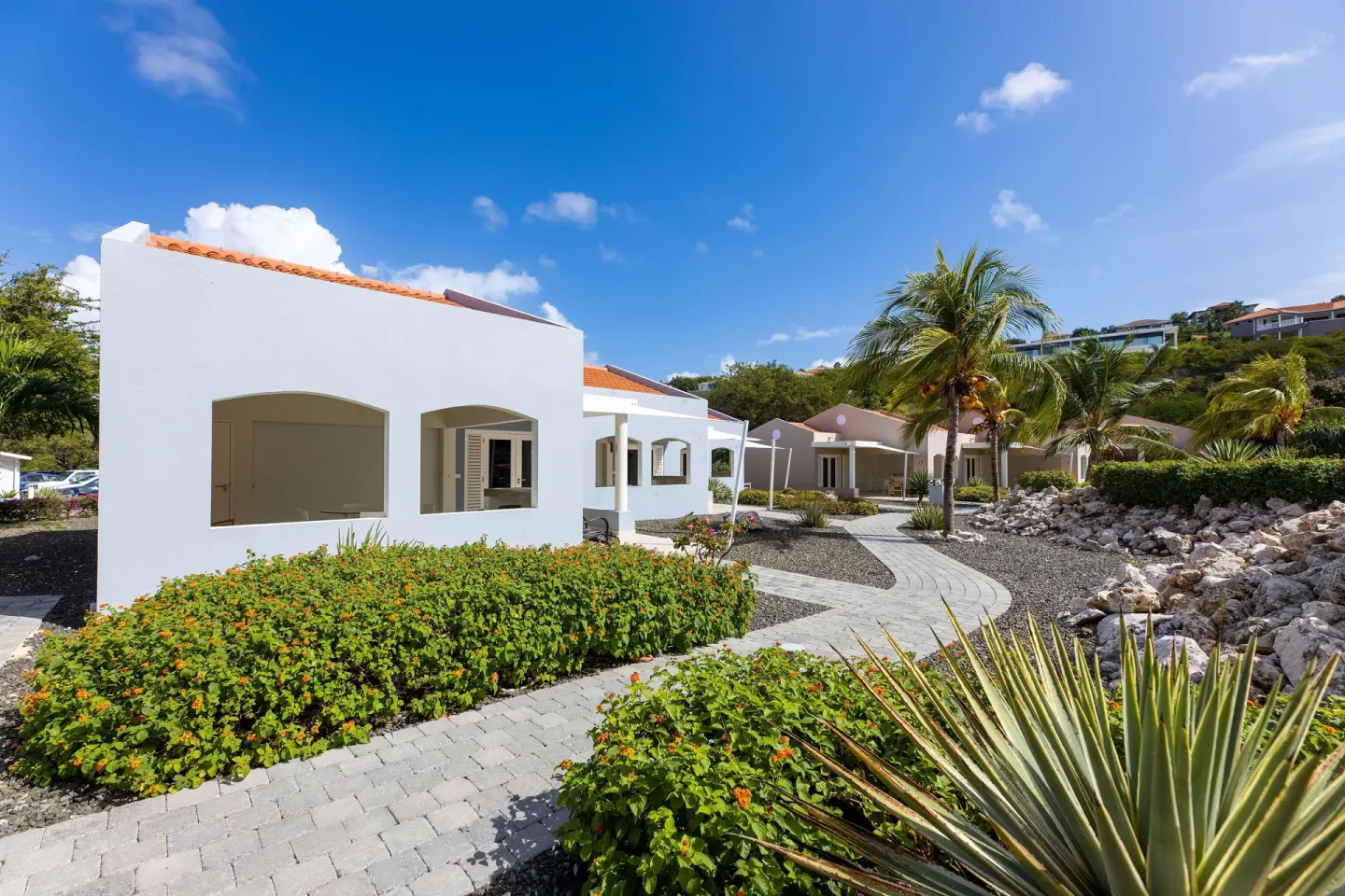 White resort villas and tropical landscaping at Coral Estate Luxury Resort.