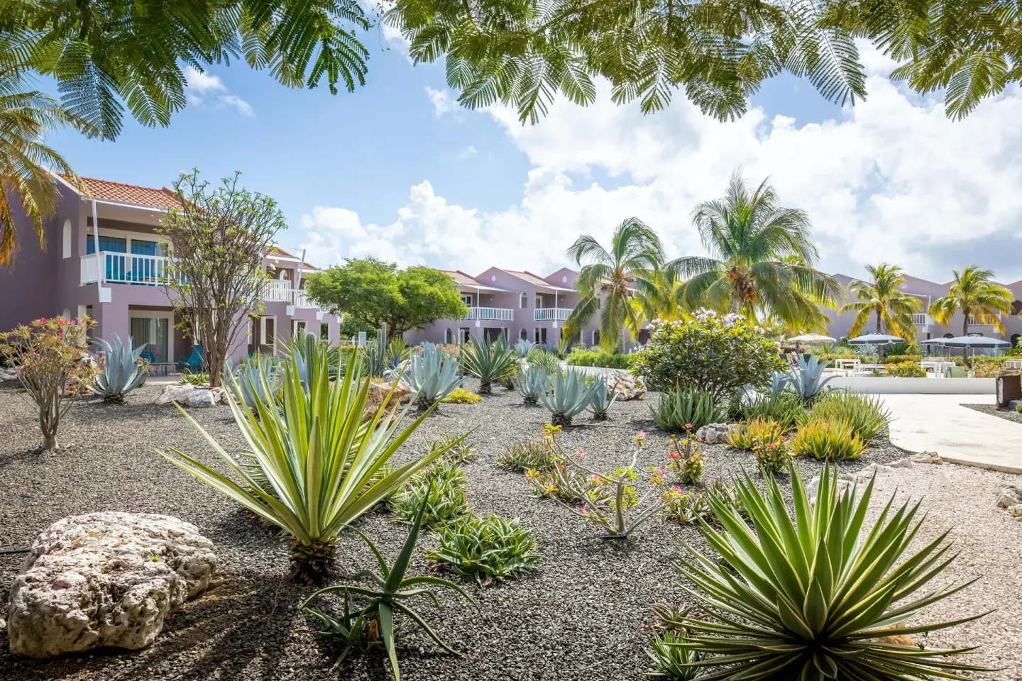 Tropical garden with palms and resort buildings at Coral Estate Luxury Resort.