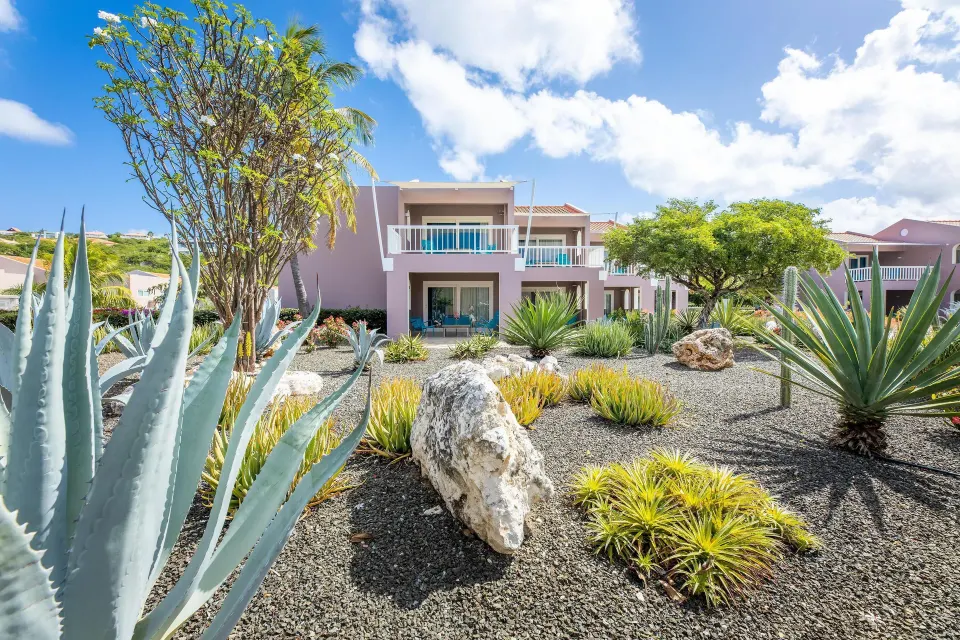 Deluxe Room Garden View exterior and desert garden at Coral Estate Luxury Resort.