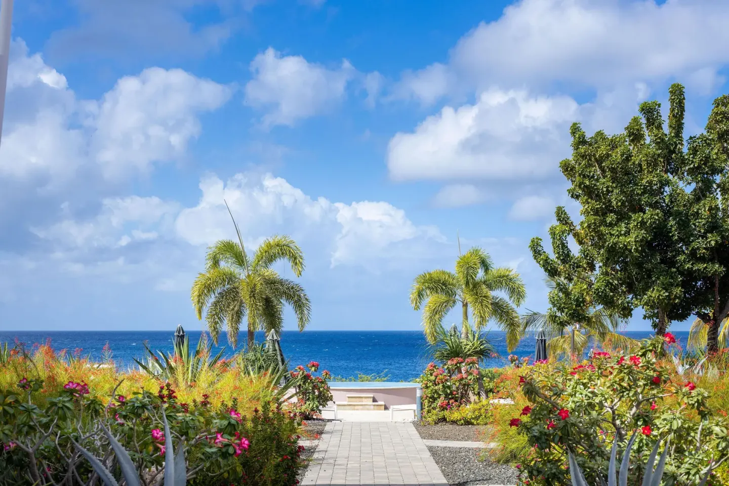Oceanfront garden path to the VIP area pool at Coral Estate Luxury Resort.