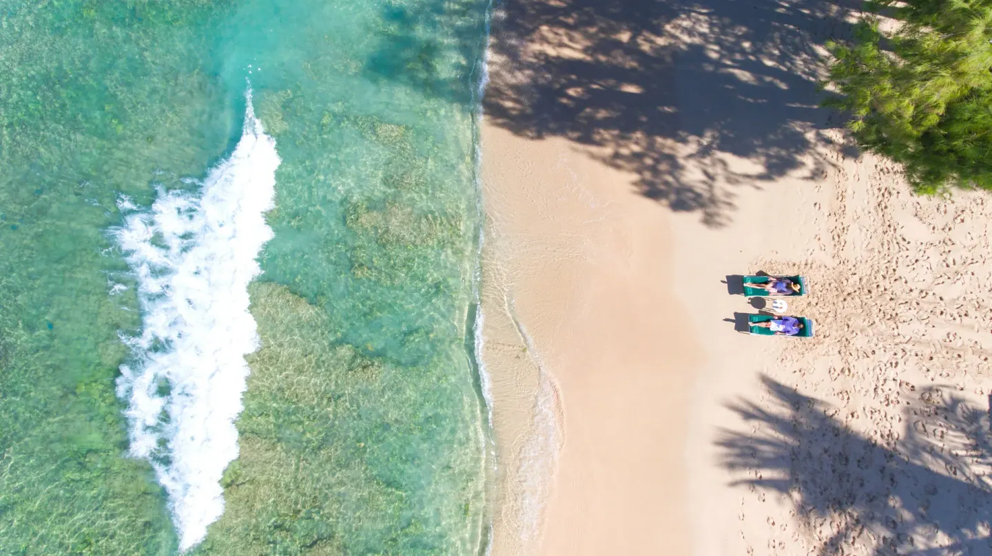 Aerial view of the beach, turquoise water, and loungers at Coral Reef Club.