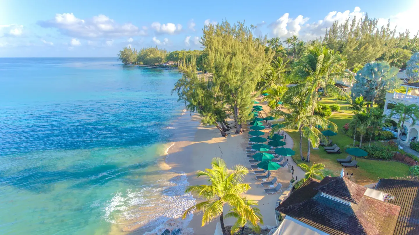 Aerial beach view with umbrellas and palms at Coral Reef Club.